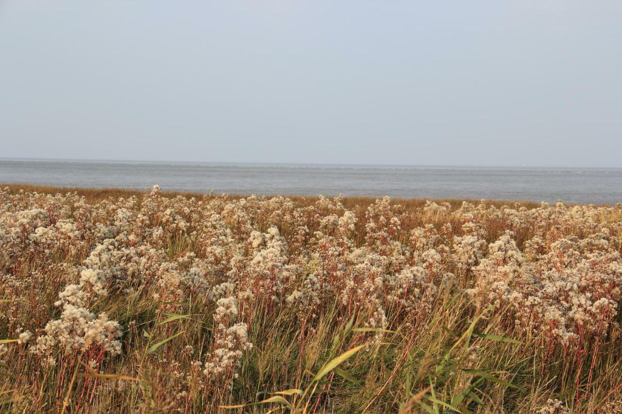 Annemaries Nordseehaus Бутьядінген Екстер'єр фото
